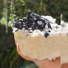 Load image into Gallery viewer, Black Tourmaline in Albite Matrix