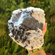 Load image into Gallery viewer, Black Tourmaline in Albite Matrix