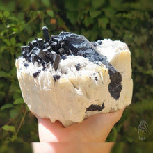 Load image into Gallery viewer, Black Tourmaline in Albite Matrix